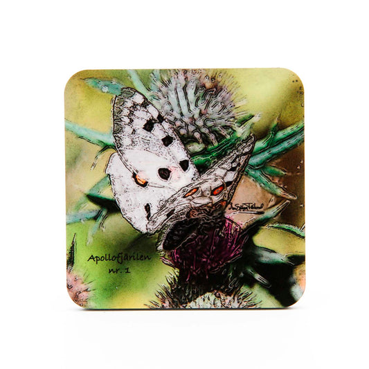 Apollo Butterfly - Drink Coasters